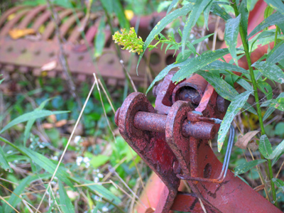 I guess I`m not the first human here.