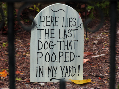 I need one of those.