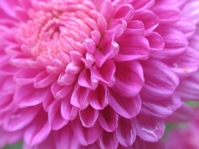 That`s not dew, considering this was taken in the evening.