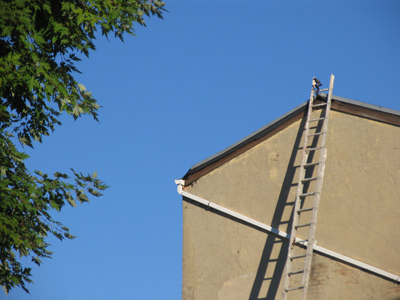 Outrageous wedding costs force many couples to elope.