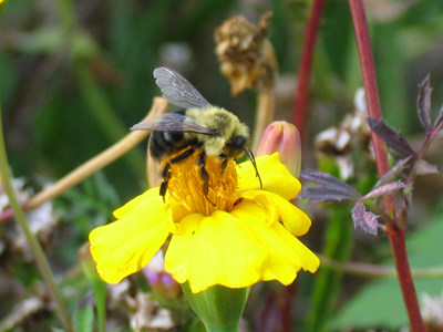 Last of the season, get them while you can.