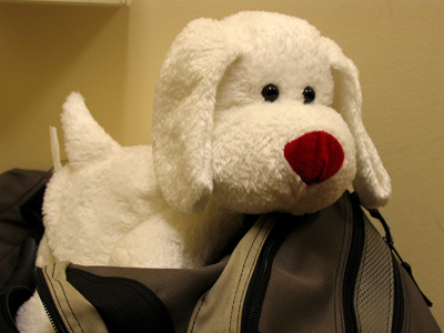 It sits quietly all through class.