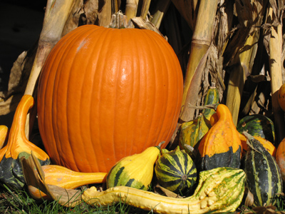 Pumpkin gittin` good an` yallah . . . Jes` a-la`in` dah sayin` `pies.` PAUL LAURENCE DUNBAR