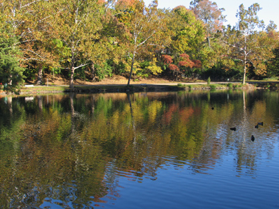 It`s been a wet autumn so far.