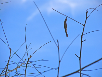 And speaking of disappearing fast . . . 