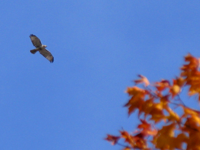 Look up once in a while.
