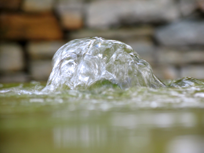 Au bord d`une source, from Ann�es de P�lerinage, by Franz Liszt.