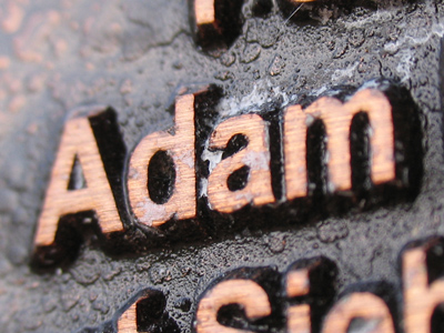 I need to see the dentist about my plaque.