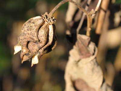 Closed for the season.