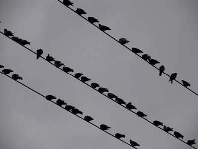 Moments later, I got Tippi Hedren`s autograph.