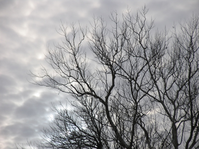 Gray sky at morning, everybody take warning.