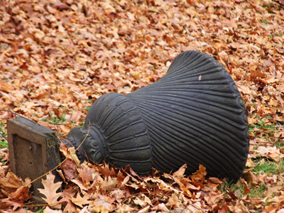 I`m hoping this picture will urn me an award.