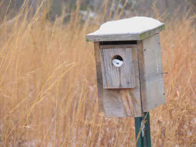 A lot has changed since November 12, 2005.