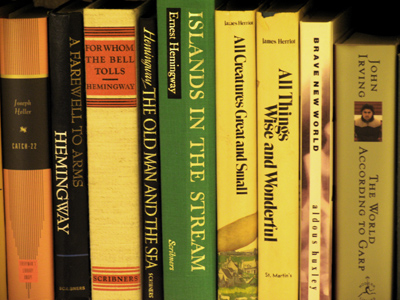 I think it`s symbolic that my bookshelves are on the wall opposite the TV.