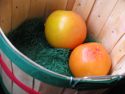 Florida oranges as big as grapefruit.  How big are the grapefruit?