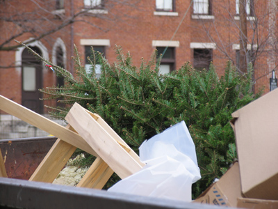 O tannenbaum, o tannenbaum, how useless are you to us!