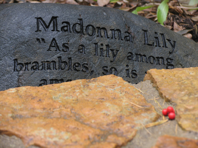 As a lily among brambles, so is my love among the maidens. SONG OF SOLOMON 2:2