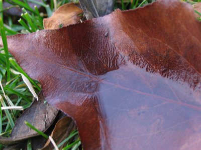 Come on in, the water`s fine.