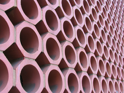 An insect views the would through thousands of tiny eyes.