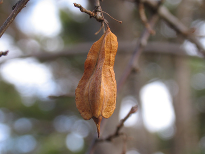 Something`s in there.  It rattles when the wind blows.