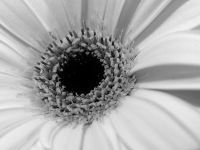 It won`t be a stylish marriage.