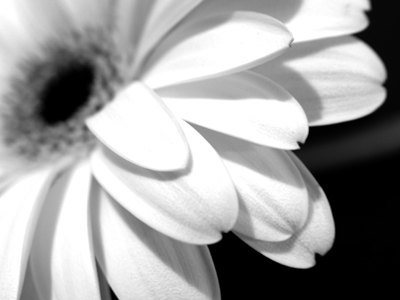 I can`t afford a carriage.