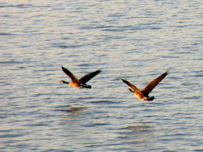 Five pictures a day every day since May 25, 2004.