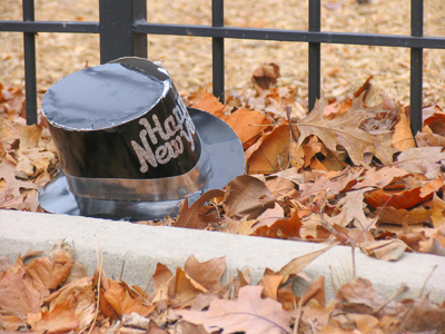 `Look at those dumb doorknobs.`