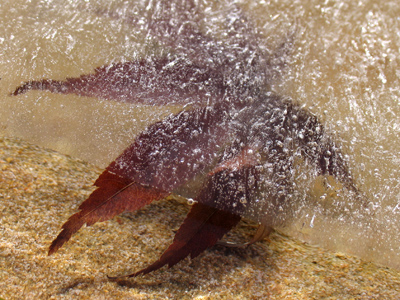 I suppose I can learn something from this.