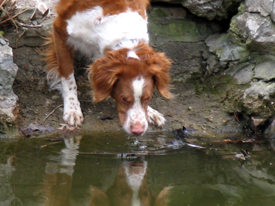A couple laps around the pond.