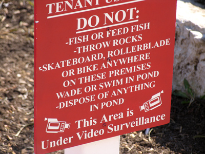 But don`t forget to have fun!