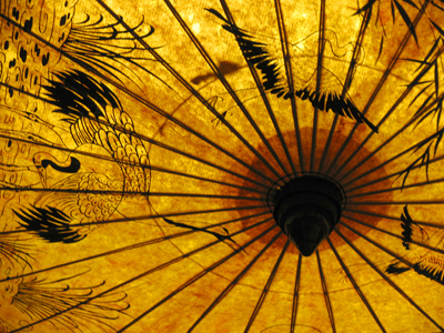 An ordinary ceiling light made extraordinary.