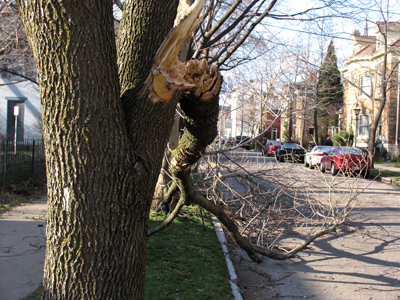 Did I mention today was windy?