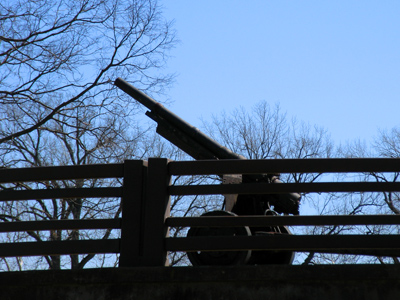 On the alert for . . . ?