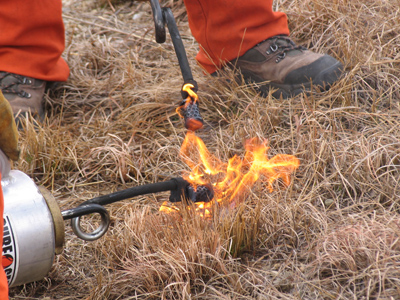 Where`s Smokey the Bear when you need him?