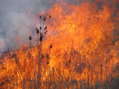 One of the few picture-taking occasions where I was actually scared.