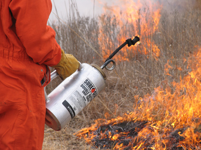 Adam before the camera:  `Prairie burn?  So what?`  Adam after the camera:  `Prairie burn?  WHAT TIME?`