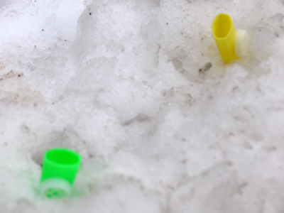 Every year it`s the same:  with the spring thaw, last season`s kazoos are revealed.