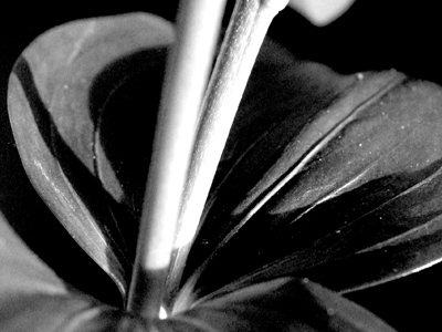 `And yet I say unto you,`