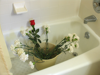 What are those doing in there?