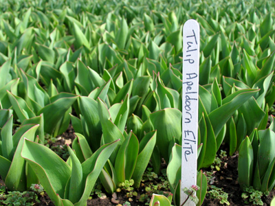 Remember November 12, 2005?  Sure you do.