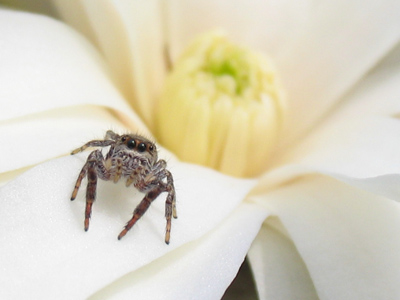 Here`s looking at you.