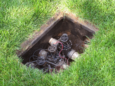 The inner workings of nature.