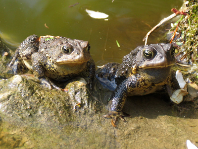 `I can`t believe he just said that about her mother.`