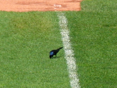 To the left of that white line is fowl territory.