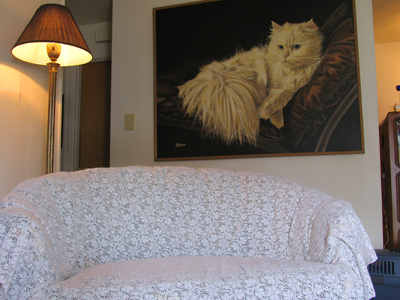 Looks like an enormous white cat must live here.