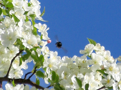 They`re up high . . . 