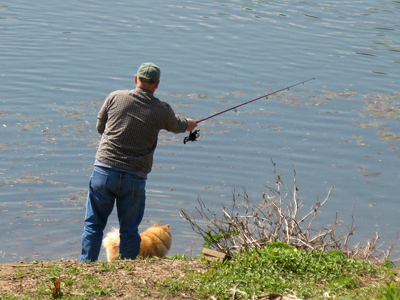 Once a fish nibbles, the dog goes in after it.