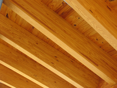 Taking a break from self-absorption and cruelty.