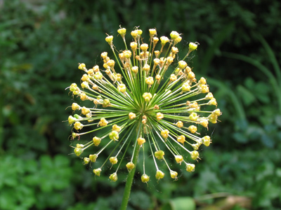 I`m so excited:  I signed the mortgage today!